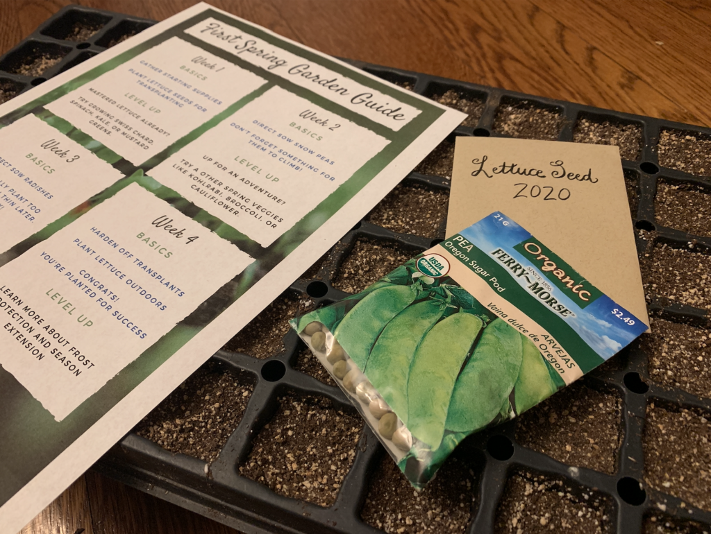 Beginner Spring Vegetable Garden Step By Step Cottage Farmstead