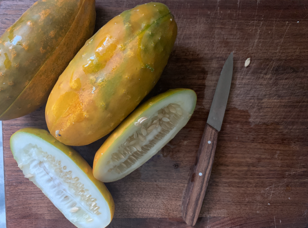 How to save cucumber seeds - Seed Saving Guide - Cottage Farmstead