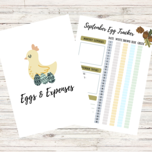 chicken and egg expense tracker
