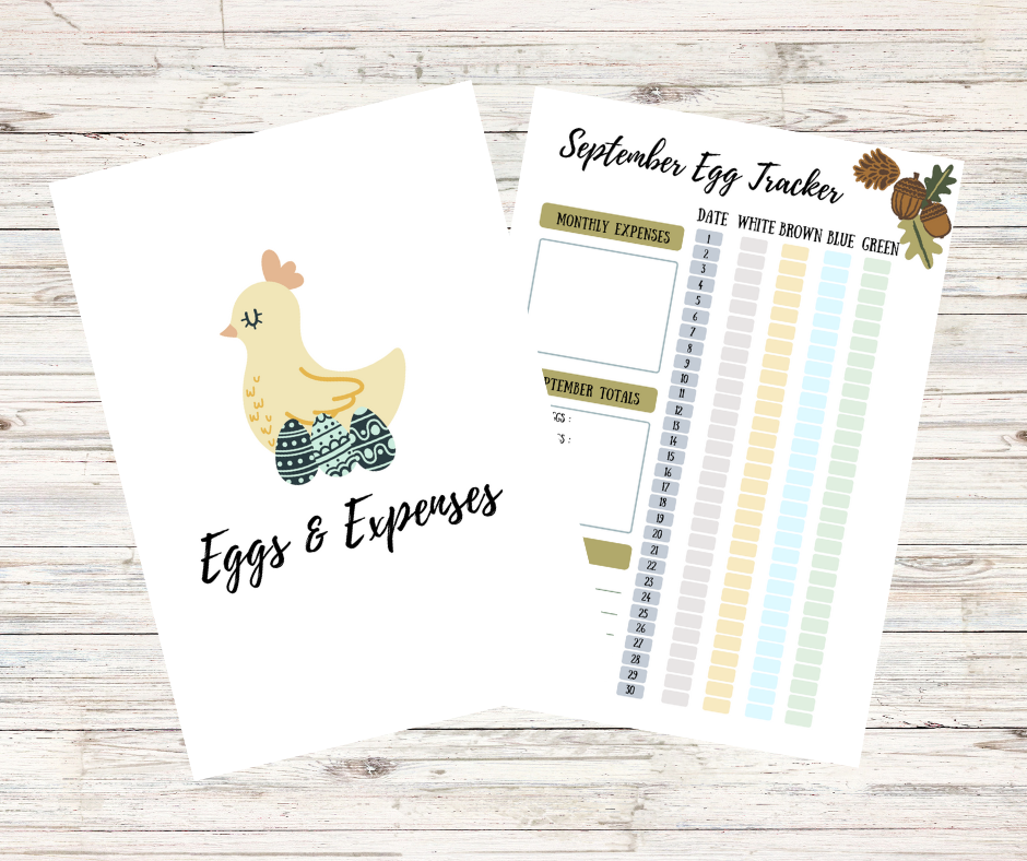 chicken and egg expense tracker