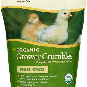 Chick Feed (Organic)